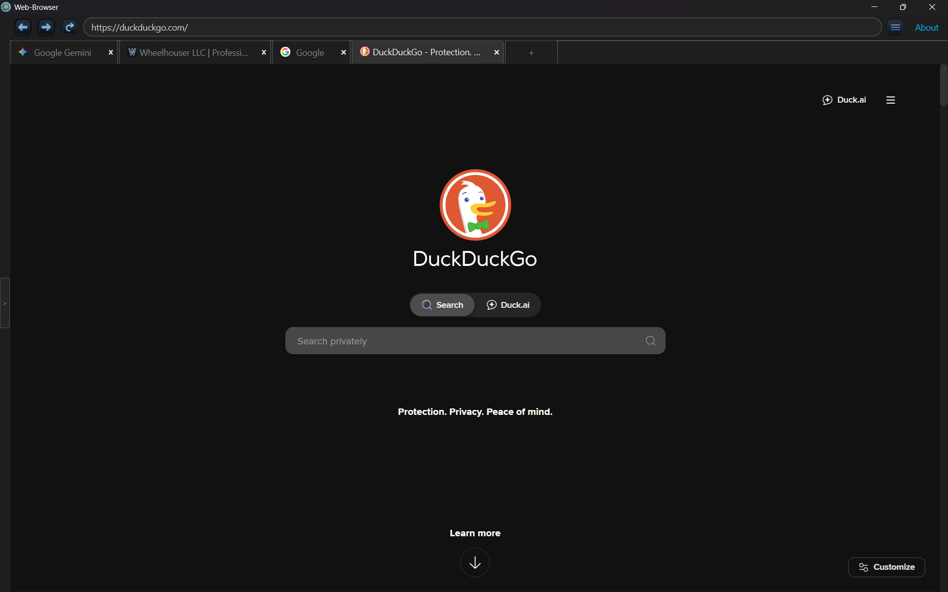 Web Browser Screenshot 1